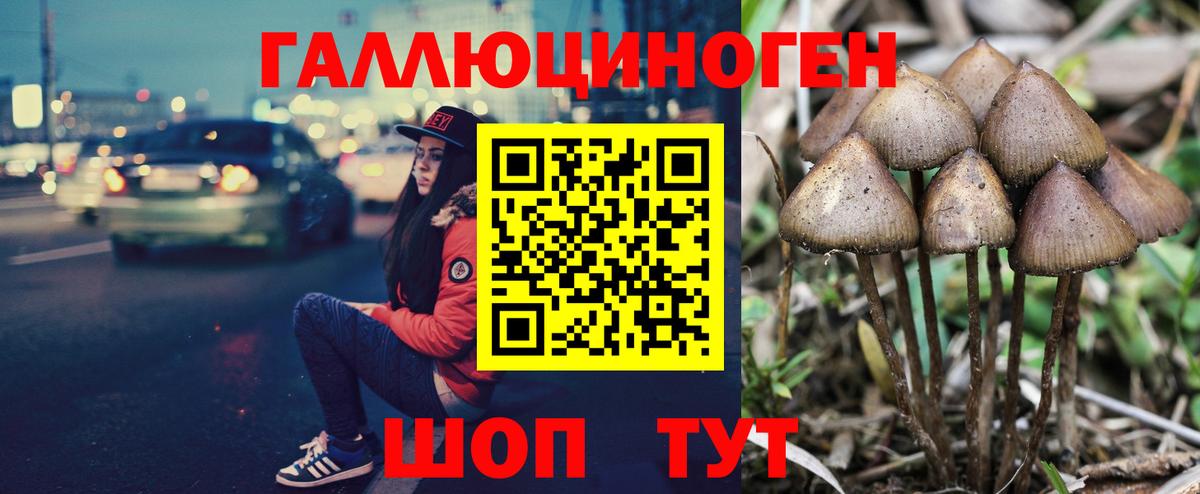 МЕФ кристаллы  ГАШ  КОКАИН  Гатчина  Конопля  Вход с VPN 