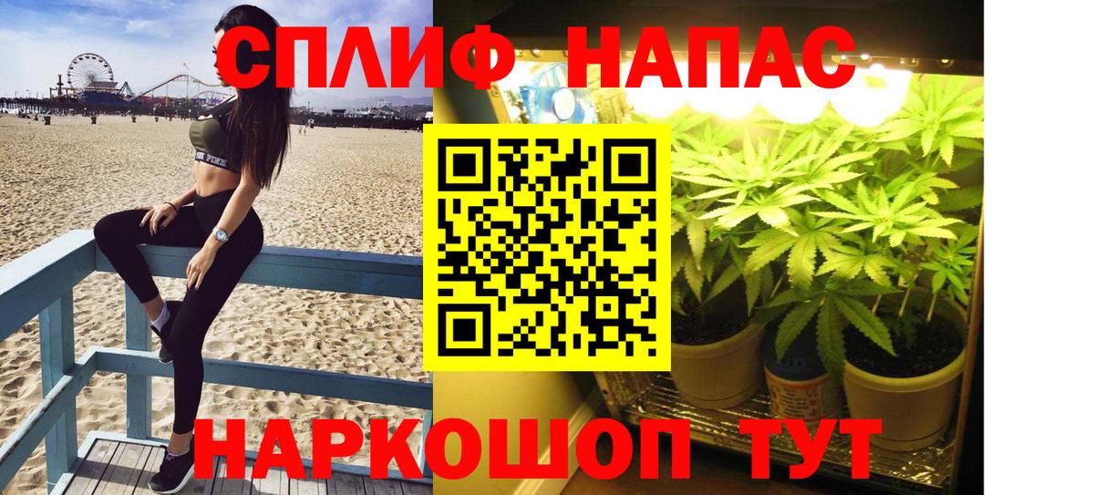 МАРИХУАНА SATIVA & INDICA  Вход с VPN  Гатчина  Шишки марихуана Bruce Banner 